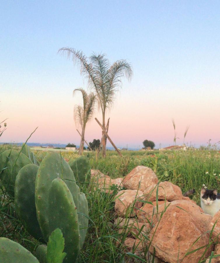 Villa Sara Di Puglia กาสเตลลาเนตา ภายนอก รูปภาพ